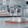 LAP: A Highly Efficient Blue Light Photoinitiator Driving Innovation in Hydrogel and Bio-Printing Te...