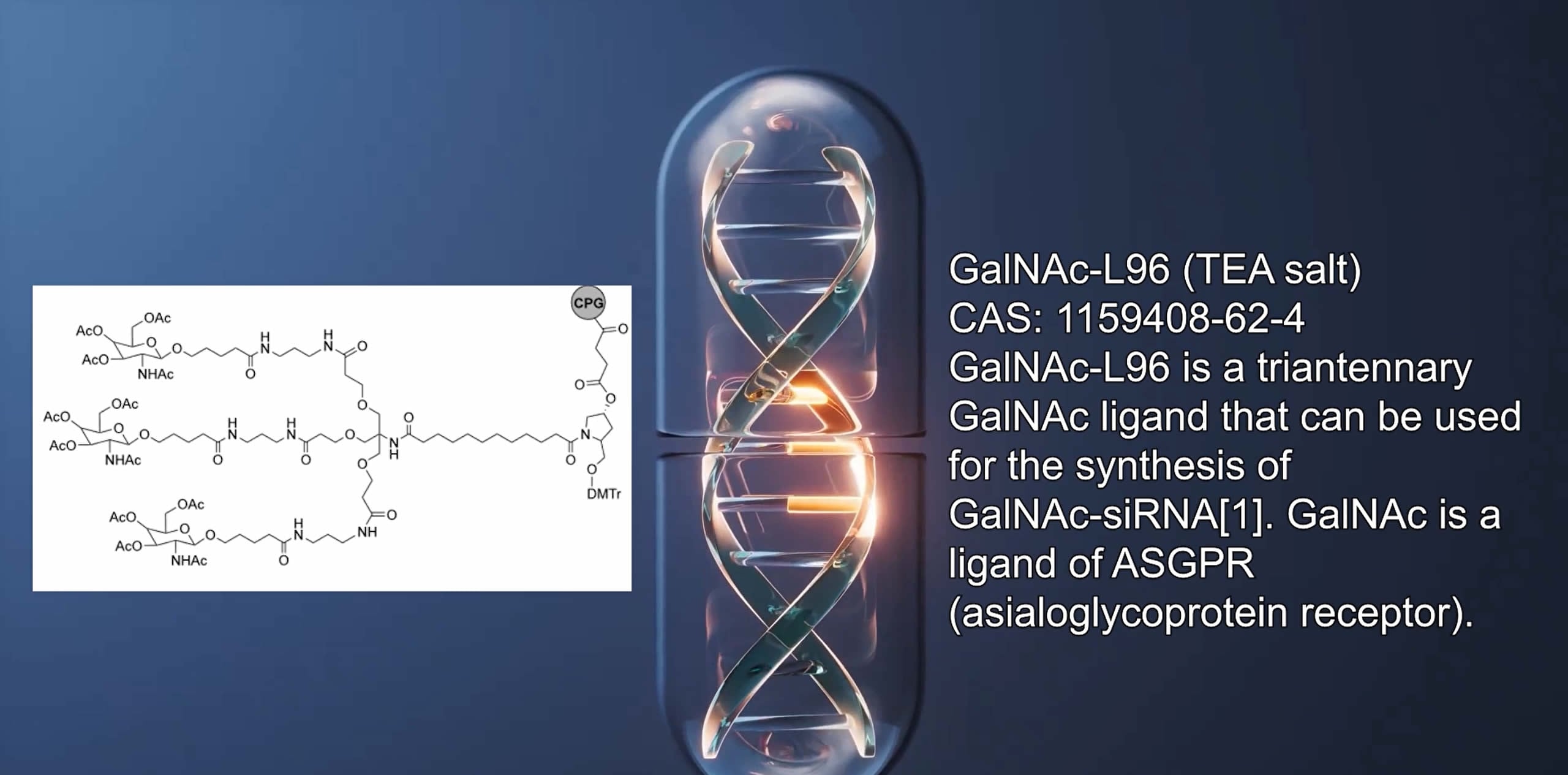 <span class="caps">L96</span>