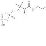 Structure of Coenzyme A. 5-(2-hydroxy-2-methy Ipropanoate) CAS 1383119-39-8