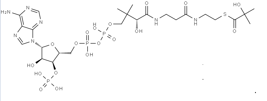 Structure of Coenzyme A. 5-(2-hydroxy-2-methy Ipropanoate) CAS 1383119-39-8