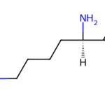 Structure of Polylysine CAS 25104-18-1