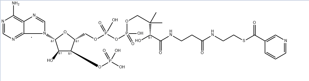Struture of Coenzyme A,s-3-pyridinecarboxylate CAS 946073-83-2